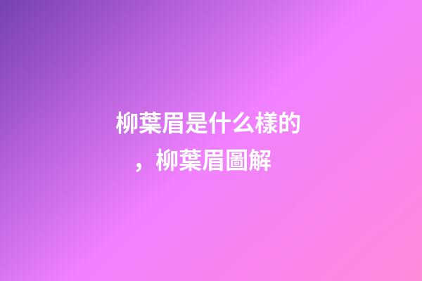 柳葉眉是什么樣的，柳葉眉圖解